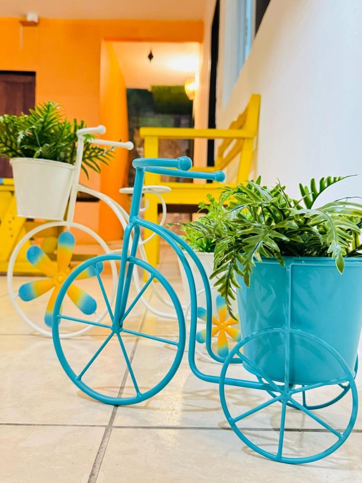Naay Bej Hotel Tulum Luaran gambar