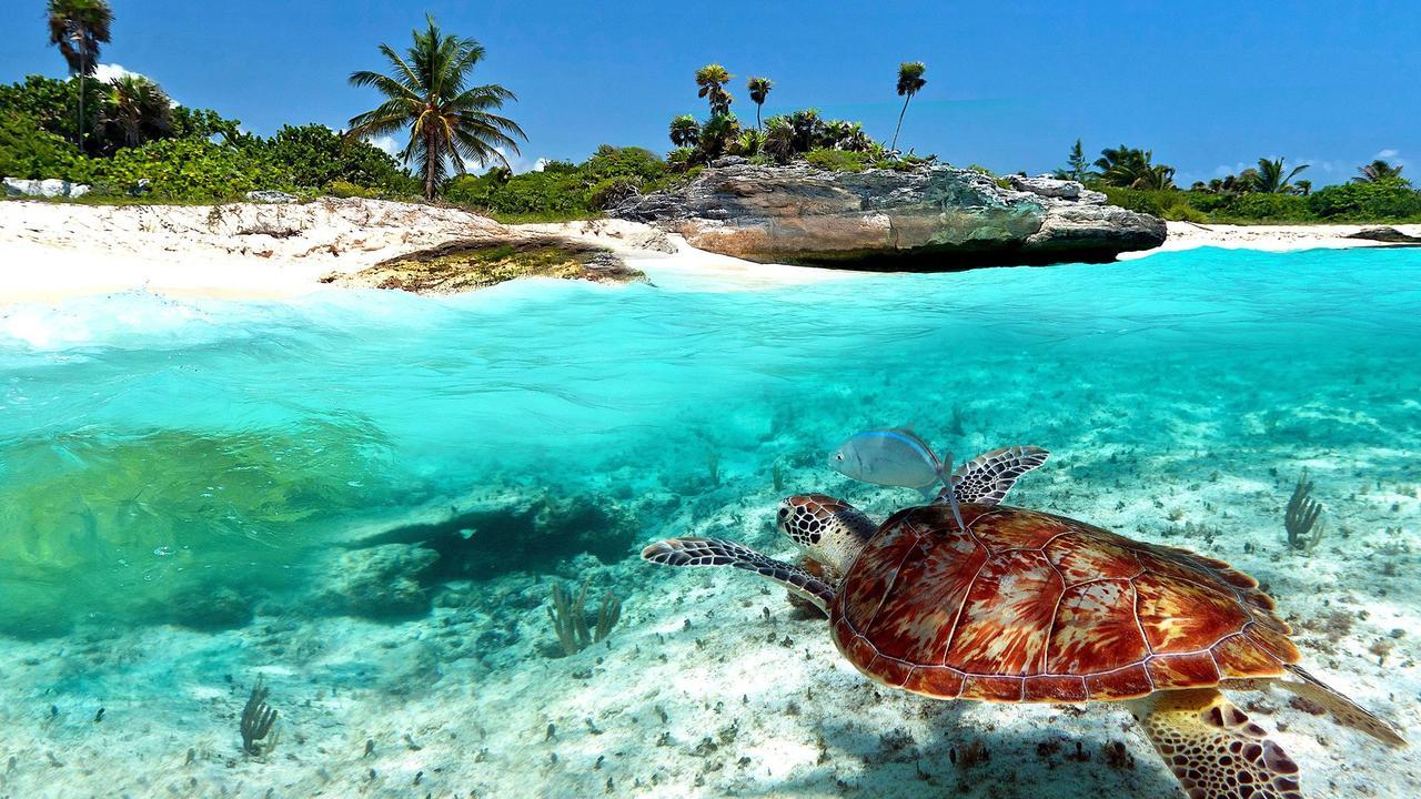 Naay Bej Hotel Tulum Luaran gambar