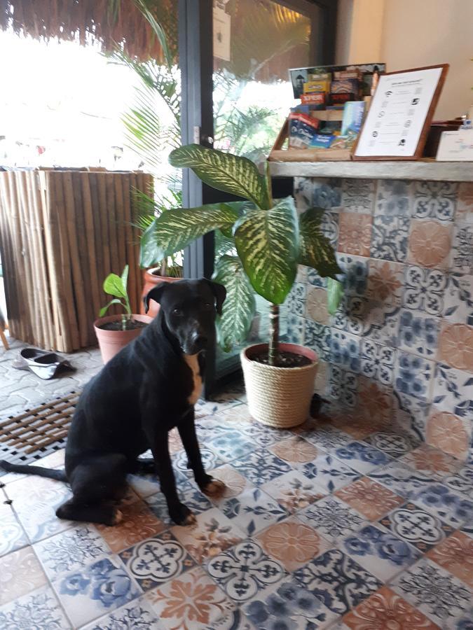 Naay Bej Hotel Tulum Luaran gambar